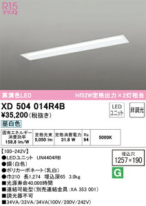 XD504014R4B �I�[�f���b�N �����^LED�x�[�X���C�g �����F