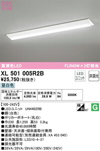XL501005R2B I[fbN t^LEDx[XCg F