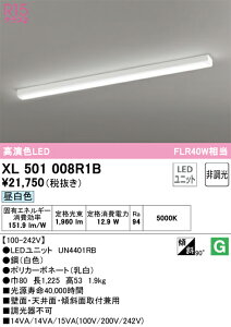XL501008R1B �I�[�f���b�N ���t�^LED�x�[�X���C�g �����F