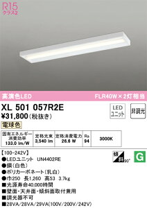 XL501057R2E �I�[�f���b�N ���t�^LED�x�[�X���C�g �d���F