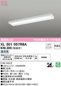 XL501057R6A I[fbN t^LEDx[XCg F