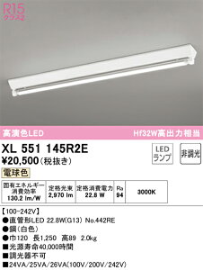 XL551145R2E �I�[�f���b�N ���t�^LED�x�[�X���C�g �d���F