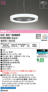 OC257206BR I[fbN LEDy_gCg `14 BluetoothΉ  F