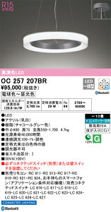OC257207BR I[fbN LEDy_gCg `10 BluetoothΉ  F