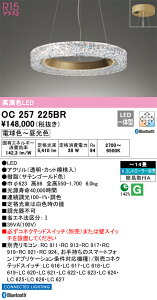 OC257225BR I[fbN LEDy_gCg `14 BluetoothΉ  F