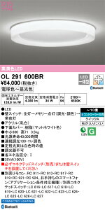 OL291600BR I[fbN LEDV[OCg `10 BluetoothΉ  F