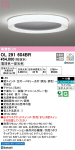 OL291604BR I[fbN LEDV[OCg `10 BluetoothΉ  F
