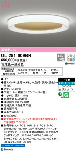 OL291609BR I[fbN LEDV[OCg `8 BluetoothΉ  F