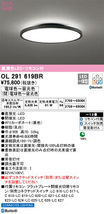 OL291619BR I[fbN LEDV[OCg `12 BluetoothΉ  F