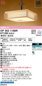 OP252115BR I[fbN aLEDy_gCg `8 BluetoothΉ  F