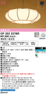 OP252237BR I[fbN aLEDy_gCg `12 BluetoothΉ  F