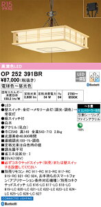 OP252391BR I[fbN aLEDy_gCg `8 BluetoothΉ  F