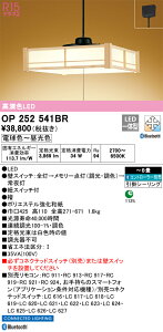 OP252541BR I[fbN aLEDy_gCg `8 BluetoothΉ  F