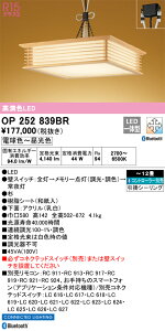 OP252839BR I[fbN aLEDy_gCg `12 BluetoothΉ  F