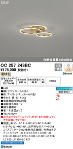 OC257243BC �I�[�f���b�N LED�V�����f���A ���� �d���F Bluetooth�Ή�
