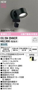 OG264204NCR オーデリック 人感センサー付 屋外用LEDスポットライト 顔識別カメラ付 昼白色