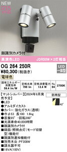 OG264250R オーデリック 人感センサー付 屋外用LEDスポットライト 顔識別カメラ付 電球色