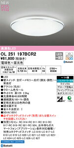 OL251197BCR2 I[fbN LEDV[OCg `14  F BluetoothΉ