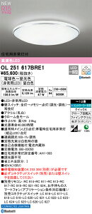 OL251617BRE1 I[fbN Zp퓔t LEDV[OCg `12  F BluetoothΉydmuʔz