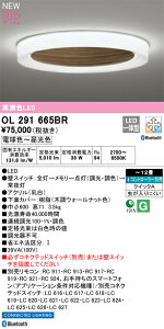 OL291665BR I[fbN LEDV[OCg `12  F BluetoothΉ