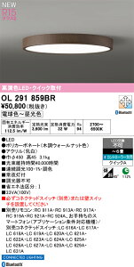 OL291859BR �I�[�f���b�N LED�V�[�����O���C�g ���� ���F Bluetooth�Ή� �`6��yOL291430BR�̌�p�@��z