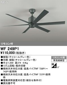 WF249P1 �I�[�f���b�N �V�[�����O�t�@��