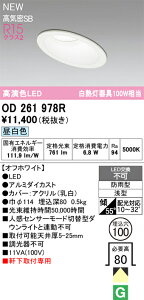 OD261978R I[fbN pLED_ECg XΓVp 100 F
