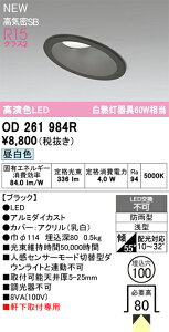 OD261984R I[fbN pLED_ECg XΓVp 100 F