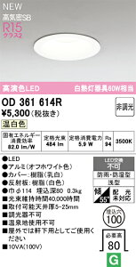 OD361614R I[fbN EpLED_ECg  oX[Cg 100 F