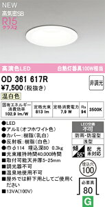 OD361617R I[fbN EpLED_ECg  oX[Cg 100 F