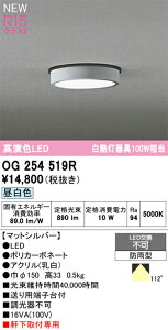 OG254519R オーデリック 軒下用LEDシーリングライト 昼白色