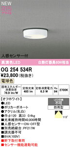 OG254534R I[fbN lZT[t pLEDV[OCg dF