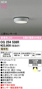 OG254538R オーデリック 人感センサー付 軒下用LEDシーリングライト 電球色
