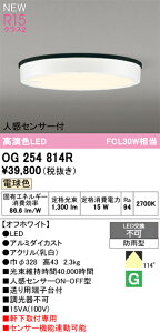 OG254814R I[fbN lZT[t pLEDV[OCg dF