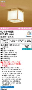 OL014033BR1 I[fbN aLEDV[OCg  F BluetoothΉ