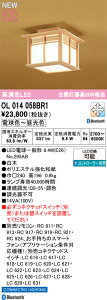 OL014058BR1 I[fbN aLEDV[OCg  F BluetoothΉ