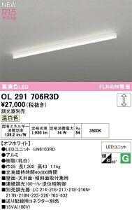 OL291706R3D �I�[�f���b�N LED�x�[�X���C�g ���t�^ ���� �����F
