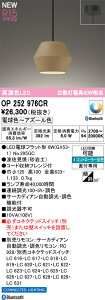 OP252976CR I[fbN LEDy_gCg  F BluetoothΉ