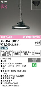 XP452002R �I�[�f���b�N LED�y���_���g���C�g ���V��p�Ɩ� �`�F�[���݂� �����F