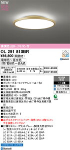 OL291810BR �I�[�f���b�N LED�V�[�����O���C�g �`12�� ���� ���F
