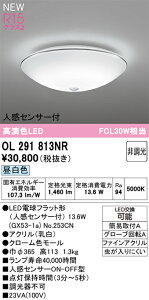 OL291813NR �I�[�f���b�N �l���Z���T�[�t ���^LED�V�[�����O���C�g �����F