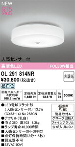 OL291814NR �I�[�f���b�N �l���Z���T�[�t ���^LED�V�[�����O���C�g �����F