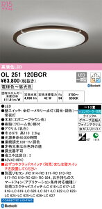 OL251120BCR I[fbN LEDV[OCg  F BluetoothΉ `10yOL251120BČp@z