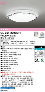 OL251209BCR I[fbN LEDV[OCg  F BluetoothΉ `10yOL251209BČp@z