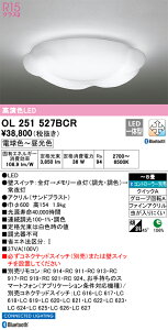 OL251527BCR I[fbN LEDV[OCg  F BluetoothΉ `8yOL251527BČp@z