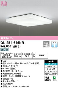 OL251616NR I[fbN LEDV[OCg vXCb`t  `8 FyOL251616Ňp@z