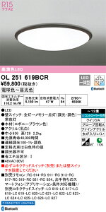 OL251619BCR I[fbN LEDV[OCg  F BluetoothΉ `12yOL251619BČp@z