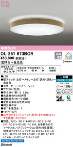 OL251673BCR I[fbN LEDV[OCg  F BluetoothΉ `10yOL251673BC1̌p@z