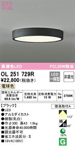 OL251729R I[fbN LED^V[OCg dFyOL251729̌p@z