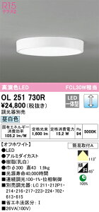 OL251730R I[fbN LED^V[OCg  FyOL251730̌p@z